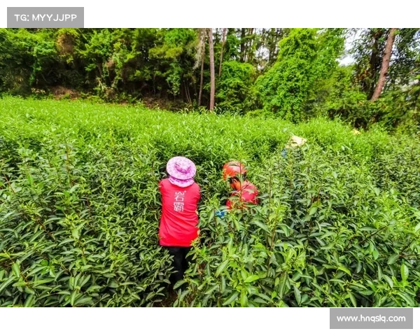 2016年西甲金靴争夺战：梅西之外的多重精彩与背后故事